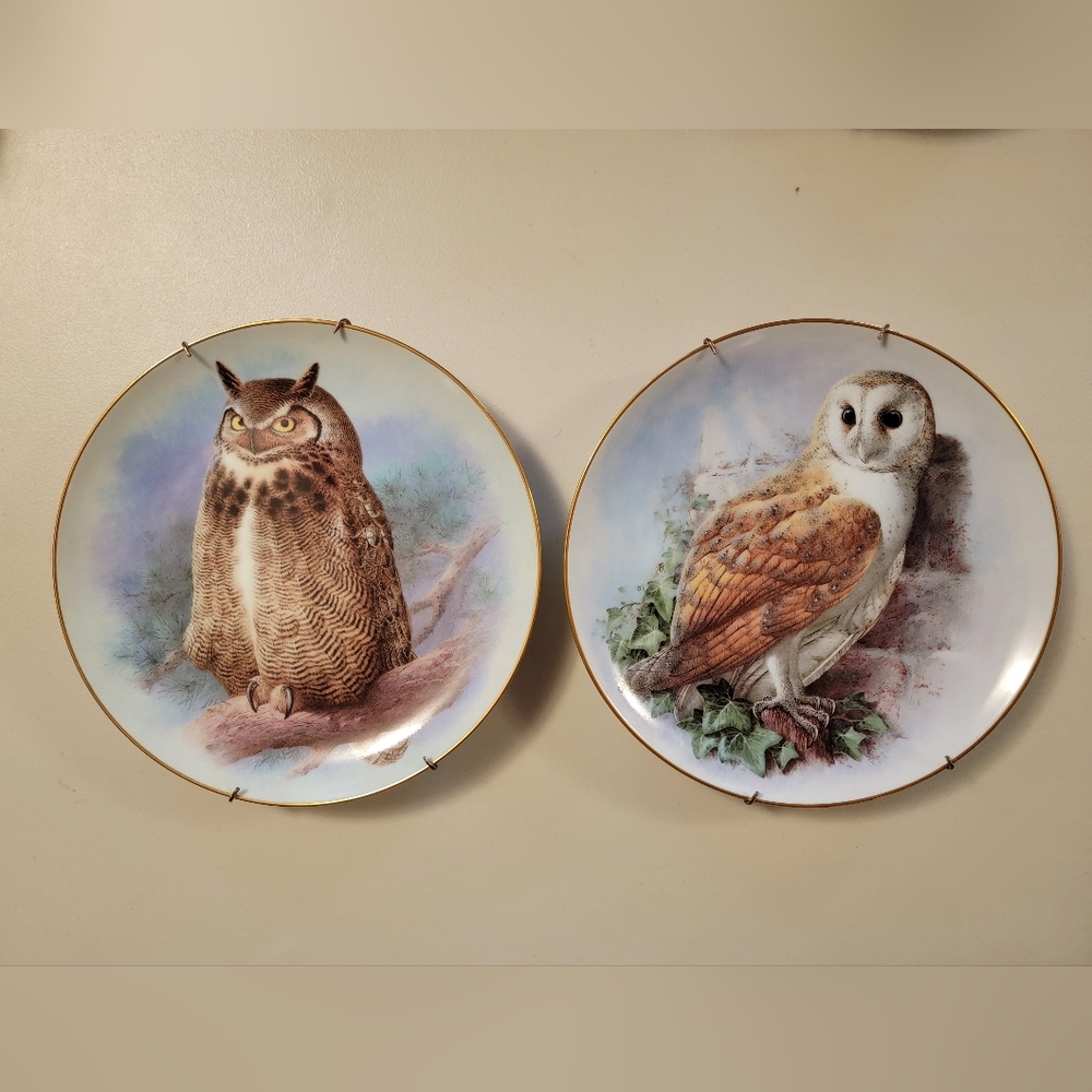 Vintage Great Horned Owl and Barn Owl Decorative Porcelain Plate